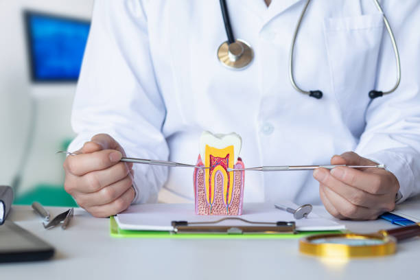 Best Emergency Dentist for Lost Fillings or Crowns in Brownville, NJ